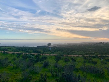 Venta / Terreno / La Ligua