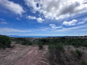 Venta / Terreno / La Ligua