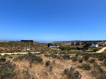 Venta / Terreno / La Ligua