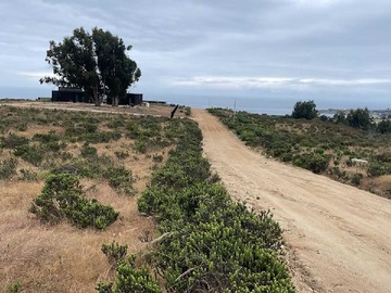 Venta / Terreno / La Ligua