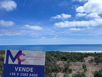 Venta / Terreno / La Ligua