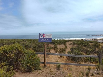 Venta / Terreno / La Ligua