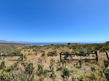 Venta / Terreno / La Ligua