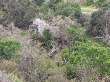 Imagen 3