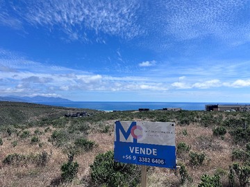 Venta / Terreno / La Ligua