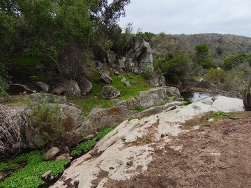 Imagen 8