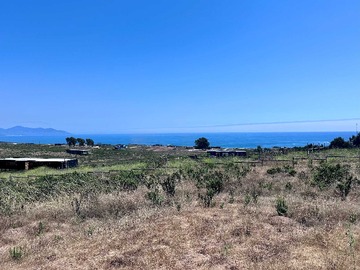 Venta / Terreno / La Ligua