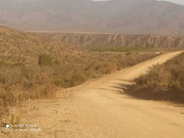 Venta / Terreno / La Ligua