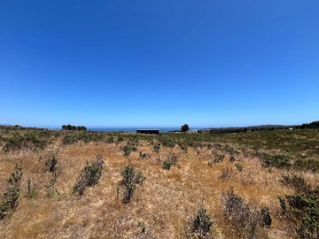 Venta / Terreno / La Ligua