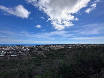 Venta / Terreno / La Ligua