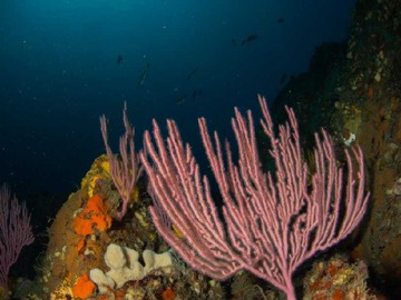 Imagen 8
