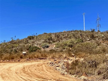 Imagen 14