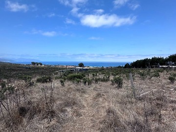 Venta / Terreno / La Ligua