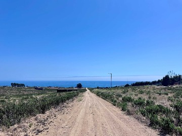 Venta / Terreno / La Ligua