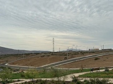 Imagen 7
