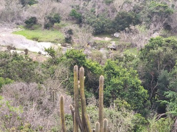 Imagen 4