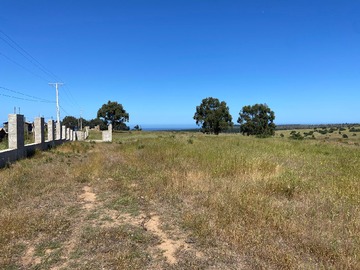 Venta / Terreno / La Ligua