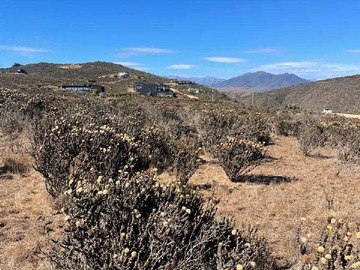 Venta / Terreno / La Ligua