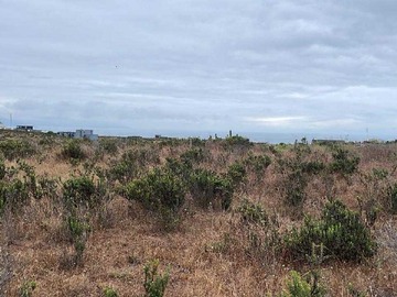 Venta / Terreno / La Ligua