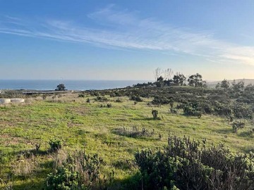 Venta / Terreno / La Ligua