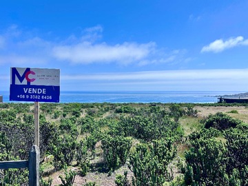 Venta / Terreno / La Ligua