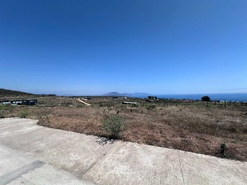 Venta / Terreno / La Ligua