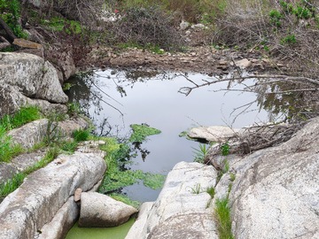Imagen 9