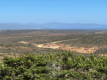 Venta / Terreno / La Ligua