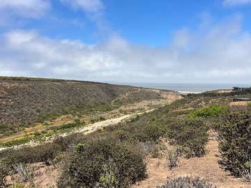 Venta / Terreno / La Ligua