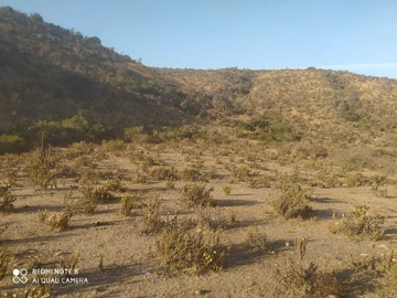 Venta / Terreno / La Ligua