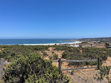 Venta / Terreno / La Ligua