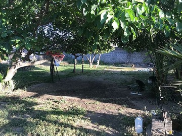 Imagen 12