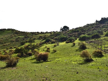 Imagen 7