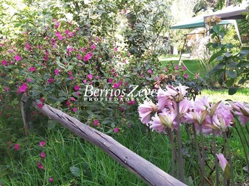 Imagen 16