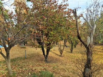 Venta / Terreno / La Reina