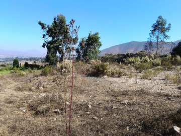 Venta / Terreno / La Serena