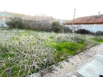 Imagen 21