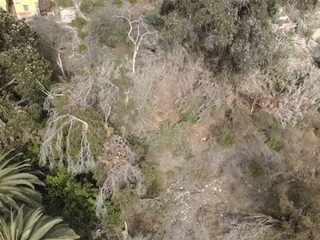 Imagen 11