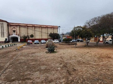 Imagen 5