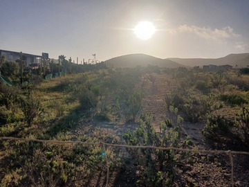 Venta / Terreno / La Serena