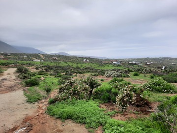 Venta / Terreno / La Serena