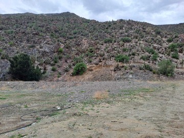 Imagen 10