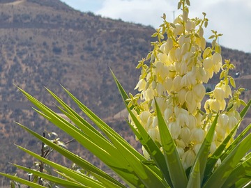 Imagen 20