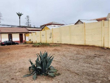 Imagen 10