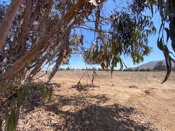 Venta / Terreno / La Serena