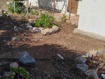 Imagen 11