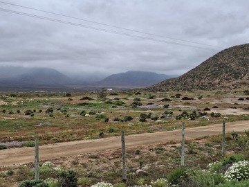 Venta / Terreno / La Serena