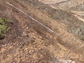 Imagen 9
