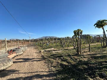 Venta / Terreno / La Serena
