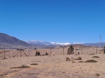 Imagen 5